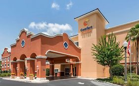 Comfort Suites The Villages